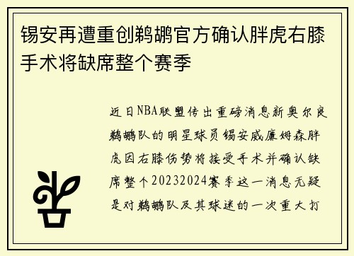 锡安再遭重创鹈鹕官方确认胖虎右膝手术将缺席整个赛季